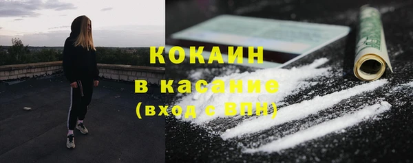 гидра Бронницы