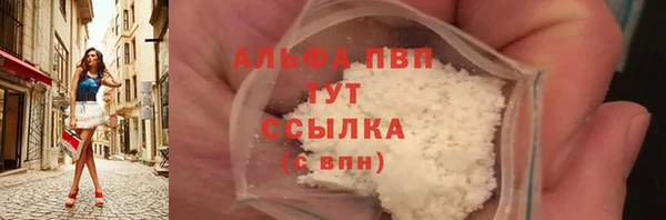 индика Бородино