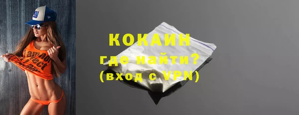 индика Бородино