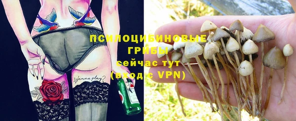 ALPHA-PVP Бугульма