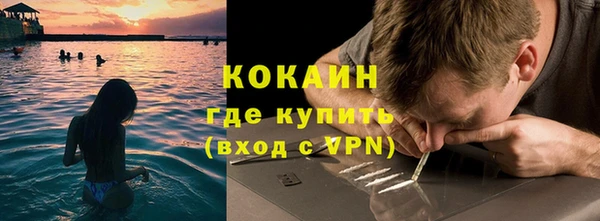 индика Бородино