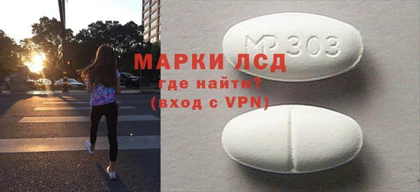 индика Бородино