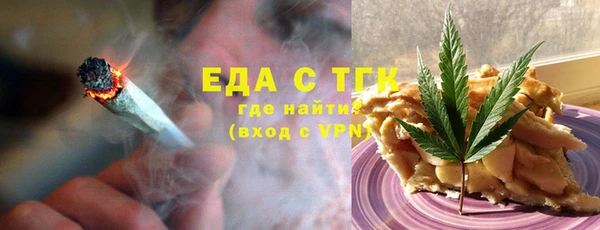 индика Бородино