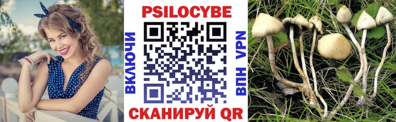 Псилоцибиновые грибы мухоморы  Междуреченск 